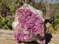 Natural Salrose Cobaltion Dolomite Specimen x 1 From Kakanda, Congo