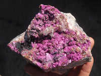 Natural Salrose Cobaltion Dolomite Specimen x 1 From Kakanda, Congo