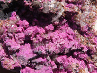 Natural Salrose Cobaltion Dolomite Specimen x 1 From Kakanda, Congo