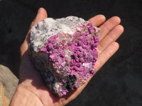 Natural Salrose Cobaltion Dolomite Specimen x 1 From Kakanda, Congo