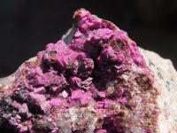 Natural Salrose Cobaltion Dolomite Specimen x 1 From Kakanda, Congo