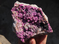 Natural Salrose Cobaltion Dolomite Specimen x 1 From Kakanda, Congo