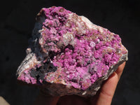 Natural Salrose Cobaltion Dolomite Specimen x 1 From Kakanda, Congo