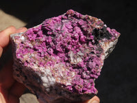 Natural Salrose Cobaltion Dolomite Specimen x 1 From Kakanda, Congo