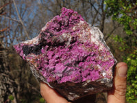 Natural Salrose Cobaltion Dolomite Specimen x 1 From Kakanda, Congo