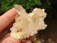 Natural Small Mixed Quartz Clusters  x 24 From Madagascar - TopRock