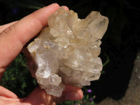 Natural Cascading Quartz Clusters With Large Optic Crystals  x 2 From Luena, Congo - TopRock