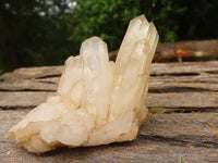 Natural Small Mixed Quartz Clusters  x 24 From Madagascar - TopRock