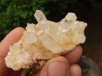 Natural Small Mixed Quartz Clusters  x 24 From Madagascar - TopRock