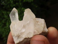 Natural Small Mixed Quartz Clusters  x 24 From Madagascar - TopRock