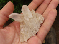 Natural Small Mixed Quartz Clusters  x 24 From Madagascar - TopRock