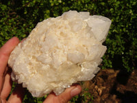 Natural "Cathedral Window" Candle Quartz Formations  x 3 From Madagascar