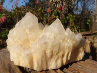 Natural "Cathedral Window" Candle Quartz Formations  x 3 From Madagascar