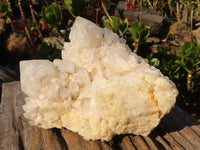 Natural "Cathedral Window" Candle Quartz Formations  x 3 From Madagascar