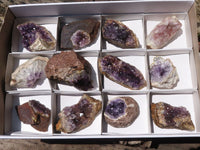 Natural Dark Amethyst Crystal Plate Specimens  x 12 From Zululand, South Africa - TopRock