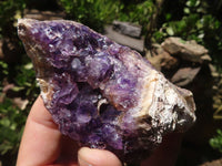 Natural Dark Amethyst Crystal Plate Specimens  x 12 From Zululand, South Africa - TopRock