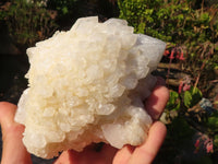 Natural "Cathedral Window" Candle Quartz Formations  x 3 From Madagascar