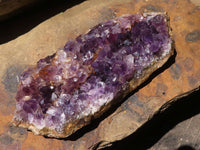 Natural Dark Amethyst Crystal Plate Specimens  x 12 From Zululand, South Africa - TopRock