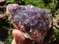 Natural Dark Amethyst Crystal Plate Specimens  x 12 From Zululand, South Africa - TopRock