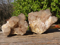 Natural White Phantom Smokey Quartz Clusters x 2 From Luena, Congo