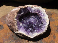 Natural Dark Amethyst Crystal Plate Specimens  x 12 From Zululand, South Africa - TopRock