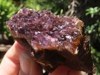 Natural Dark Amethyst Crystal Plate Specimens  x 12 From Zululand, South Africa - TopRock