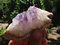 Natural Dark Amethyst Crystal Plate Specimens  x 12 From Zululand, South Africa - TopRock