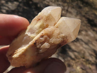 Natural Single Pineapple Quartz Crystals  x 35 From Antsirabe, Madagascar - TopRock