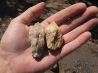 Natural Single Pineapple Quartz Crystals  x 35 From Antsirabe, Madagascar - TopRock