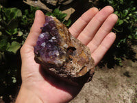 Natural Dark Amethyst Crystal Plate Specimens  x 12 From Zululand, South Africa - TopRock