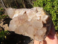 Natural White Phantom Smokey Quartz Clusters x 2 From Luena, Congo