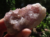 Natural Dark Amethyst Crystal Plate Specimens  x 12 From Zululand, South Africa - TopRock