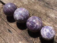 Polished Purple Lepidolite Spheres  x 4 From Madagascar - TopRock