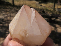 Natural Single Pineapple Quartz Crystals  x 35 From Antsirabe, Madagascar - TopRock