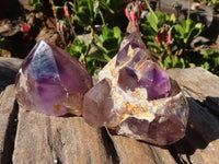 Polished Gorgeous Window Amethyst Crystals  x 5 From Madagascar - Toprock Gemstones and Minerals 