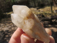 Natural Single Pineapple Quartz Crystals  x 35 From Antsirabe, Madagascar - TopRock