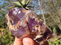 Polished Gorgeous Window Amethyst Crystals  x 5 From Madagascar - Toprock Gemstones and Minerals 