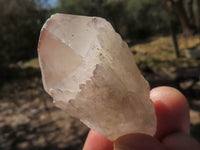 Natural Single Pineapple Quartz Crystals  x 35 From Antsirabe, Madagascar - TopRock