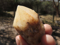 Natural Single Pineapple Quartz Crystals  x 35 From Antsirabe, Madagascar - TopRock