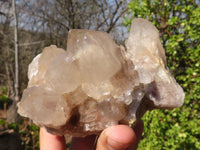 Natural White Phantom Smokey Quartz Clusters x 2 From Luena, Congo