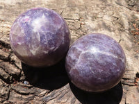 Polished Purple Lepidolite Spheres  x 4 From Madagascar - TopRock