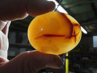 Polished Bright Red/ Orange Small to Medium Sized Carnelian Agate Palm Stones / Gallets - sold per kg - From Madagascar - TopRock