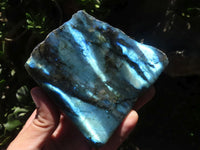 Polished One Side Polished Labradorite Slabs  x 6 From Madagascar - TopRock