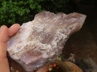 Natural Red Hematoid Quartz Clusters  x 2 From Karoi, Zimbabwe - TopRock