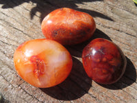 Polished Bright Red/ Orange Small to Medium Sized Carnelian Agate Palm Stones / Gallets - sold per kg - From Madagascar - TopRock