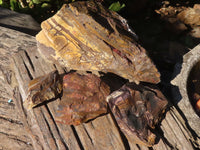 Natural Rough Nguni Jasper Cutting Material  x 4 From Northern Cape, South Africa - Toprock Gemstones and Minerals 