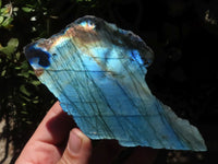 Polished One Side Polished Labradorite Slabs  x 6 From Madagascar - TopRock