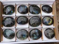 Polished Large Labradorite Palm Stones  x 12 From Madagascar - TopRock