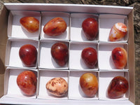 Polished Carnelian Agate Gemstone Eggs x 12 From Madagascar - TopRock