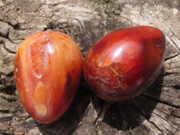 Polished Carnelian Agate Gemstone Eggs x 12 From Madagascar - TopRock